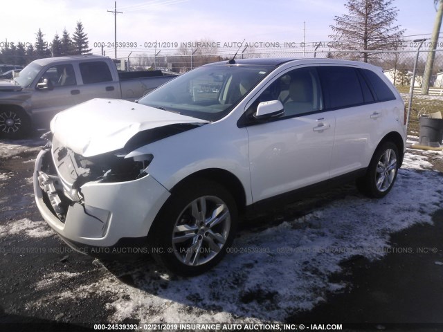 2FMDK4JC7EBA53517 - 2014 FORD EDGE SEL WHITE photo 2