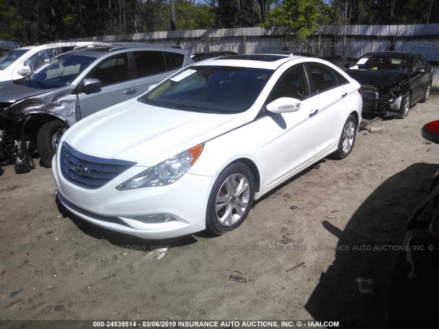 5NPEC4AC8BH131700 - 2011 HYUNDAI SONATA SE/LIMITED WHITE photo 2