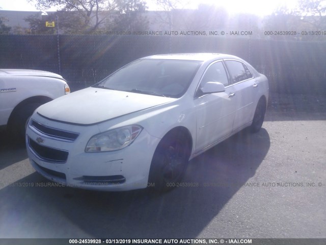 1G1ZD5EU1CF294877 - 2012 CHEVROLET MALIBU 2LT WHITE photo 2