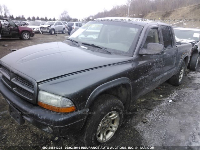 1B7HG38N62S659403 - 2002 DODGE DAKOTA QUAD SPORT/QUAD R/T BLACK photo 2