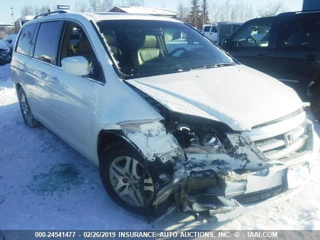 5FNRL38735B131823 - 2005 HONDA ODYSSEY EXL WHITE photo 1