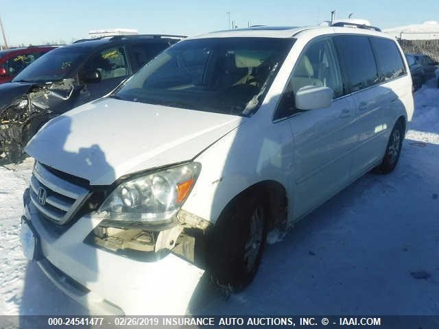 5FNRL38735B131823 - 2005 HONDA ODYSSEY EXL WHITE photo 2