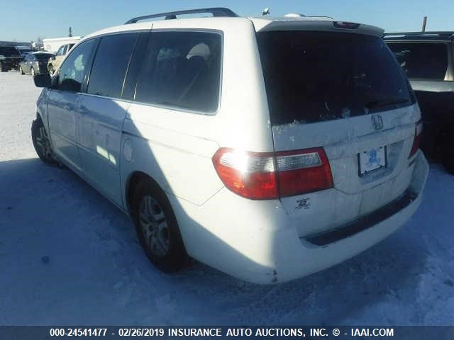 5FNRL38735B131823 - 2005 HONDA ODYSSEY EXL WHITE photo 3