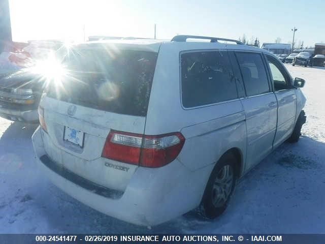 5FNRL38735B131823 - 2005 HONDA ODYSSEY EXL WHITE photo 4