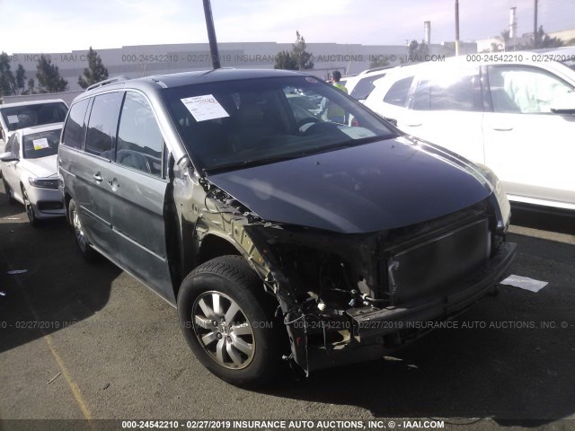 5FNRL387X8B078798 - 2008 HONDA ODYSSEY EXL GRAY photo 1