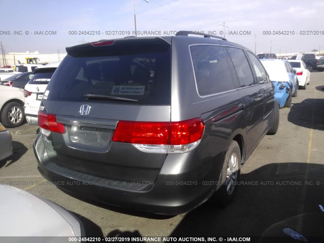 5FNRL387X8B078798 - 2008 HONDA ODYSSEY EXL GRAY photo 4