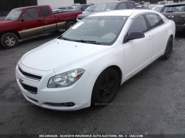 1G1ZA5EUXCF355099 - 2012 CHEVROLET MALIBU LS WHITE photo 2