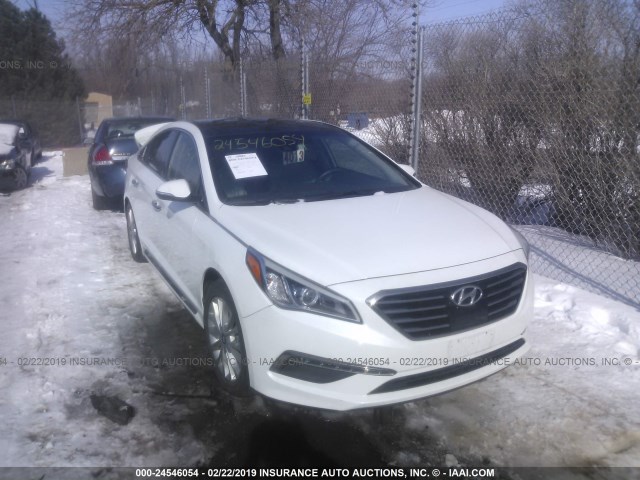 5NPE34AF4FH106955 - 2015 HYUNDAI SONATA SPORT/LIMITED WHITE photo 1