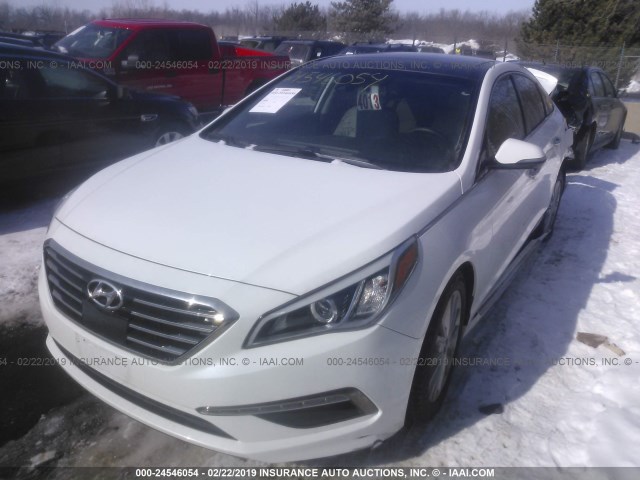 5NPE34AF4FH106955 - 2015 HYUNDAI SONATA SPORT/LIMITED WHITE photo 2