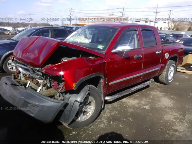 1D7HW38K58S543844 - 2008 DODGE DAKOTA SXT RED photo 2