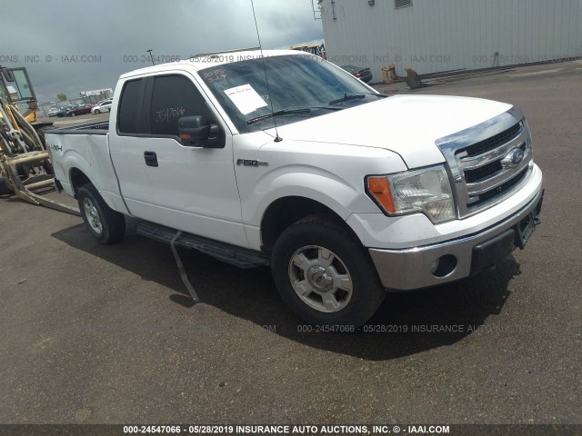 1FTFX1EF7DKD84684 - 2013 FORD F150 SUPER CAB WHITE photo 1