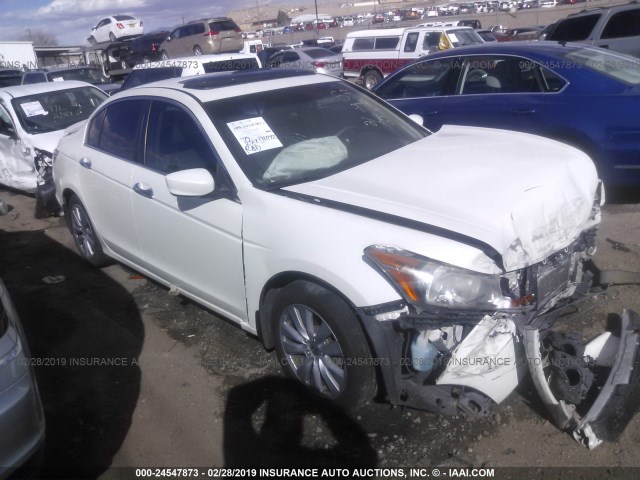 1HGCP3F82BA009336 - 2011 HONDA ACCORD EXL WHITE photo 1