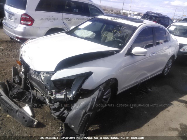 1HGCP3F82BA009336 - 2011 HONDA ACCORD EXL WHITE photo 2