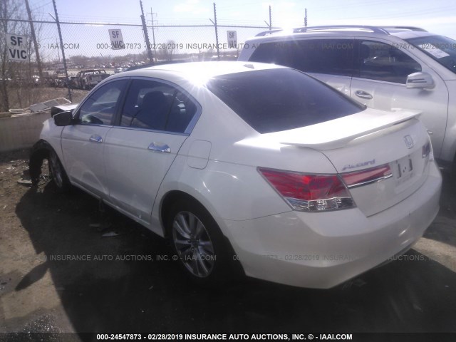 1HGCP3F82BA009336 - 2011 HONDA ACCORD EXL WHITE photo 3