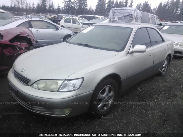 JT8BF28G4W0141634 - 1998 LEXUS ES 300 GOLD photo 2