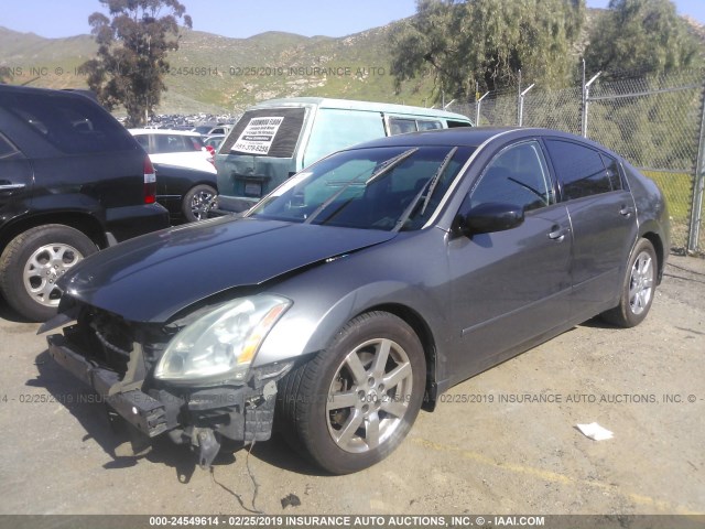 1N4BA41E35C800889 - 2005 NISSAN MAXIMA SE/SL GRAY photo 2