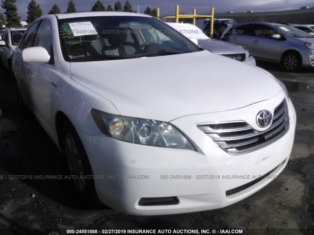 4T1BB46K39U076364 - 2009 TOYOTA CAMRY HYBRID WHITE photo 1