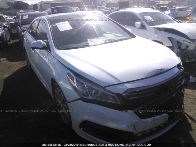 5NPE34AB7FH181632 - 2015 HYUNDAI SONATA SPORT/LIMITED WHITE photo 1