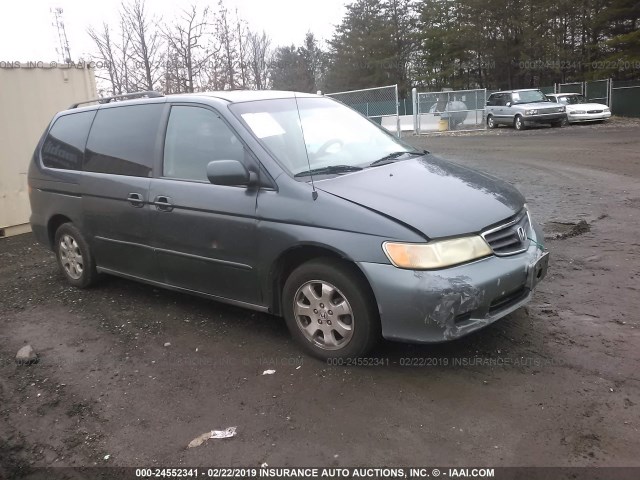 5FNRL18923B102333 - 2003 HONDA ODYSSEY EXL GRAY photo 1