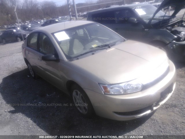 1G8AJ52F64Z124284 - 2004 SATURN ION LEVEL 2 香槟色 照片 1