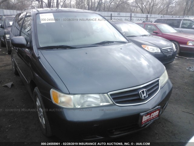 5FNRL18963B066744 - 2003 HONDA ODYSSEY EXL GRAY photo 6