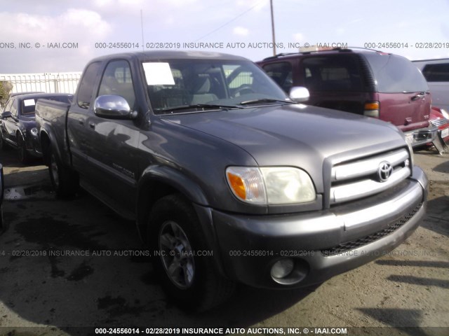 5TBRT34166S482099 - 2006 TOYOTA TUNDRA ACCESS CAB SR5 GRAY photo 1