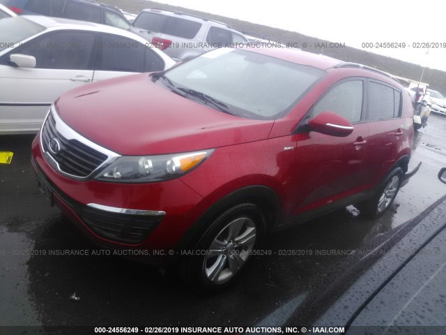 KNDPBCA22B7050516 - 2011 KIA SPORTAGE LX RED photo 2