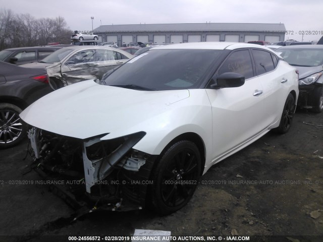 1N4AA6APXGC417902 - 2016 NISSAN MAXIMA 3.5S/SV/SL/SR/PLAT WHITE photo 2