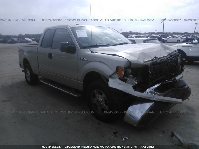 1FTEX1C81AFC73889 - 2010 FORD F150 SUPER CAB GOLD photo 1