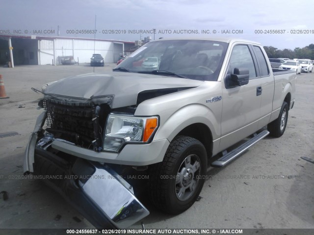 1FTEX1C81AFC73889 - 2010 FORD F150 SUPER CAB GOLD photo 2