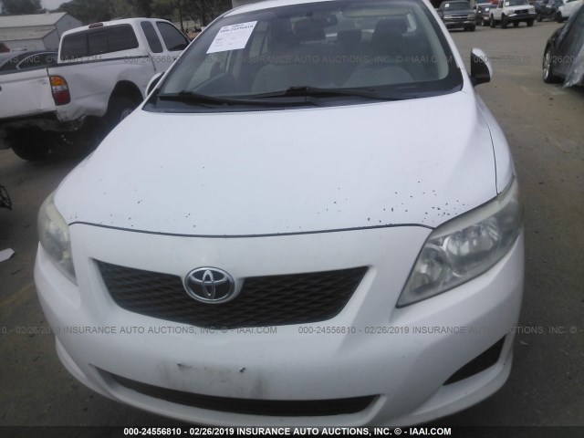 1NXBU4EE1AZ320037 - 2010 TOYOTA COROLLA S/LE/XLE WHITE photo 6