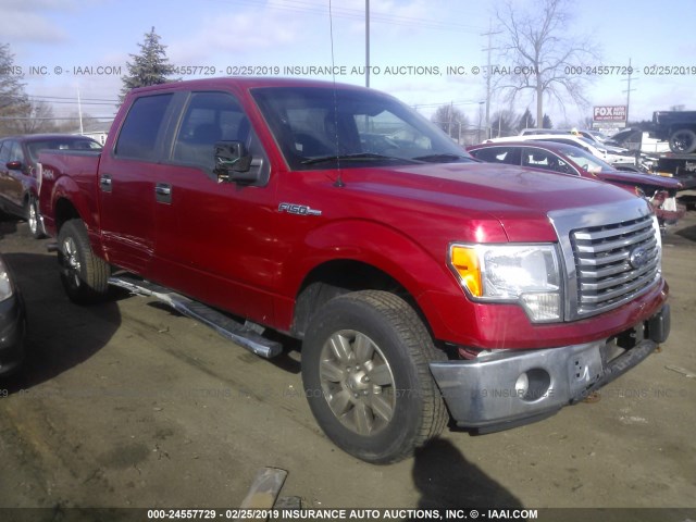 1FTFW1EF5BFD25769 - 2011 FORD F150 SUPERCREW RED photo 1