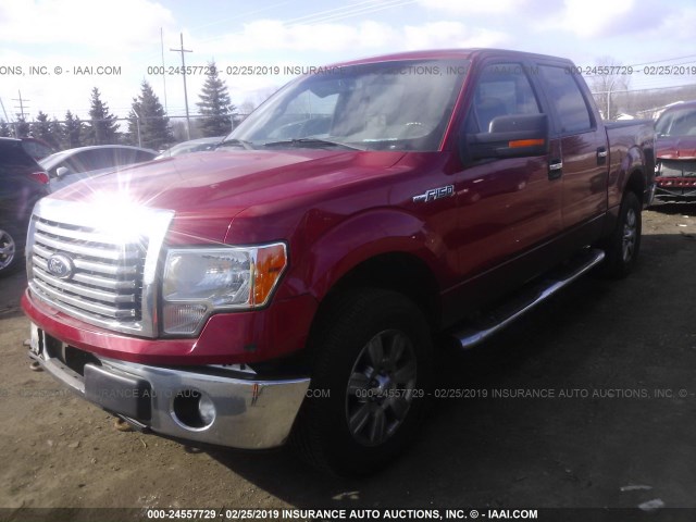 1FTFW1EF5BFD25769 - 2011 FORD F150 SUPERCREW RED photo 2