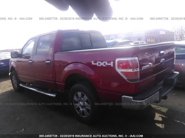 1FTFW1EF5BFD25769 - 2011 FORD F150 SUPERCREW RED photo 3