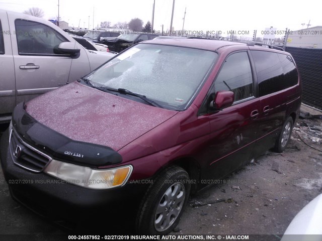 5FNRL18074B029320 - 2004 HONDA ODYSSEY EXL RED photo 2