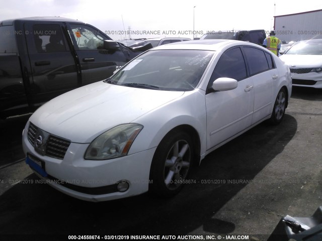 1N4BA41E65C815581 - 2005 NISSAN MAXIMA SE/SL WHITE photo 2