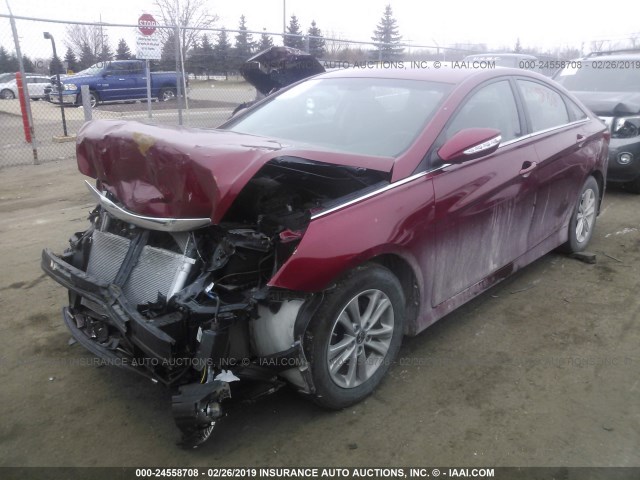 5NPEB4AC5EH812615 - 2014 HYUNDAI SONATA GLS RED photo 2