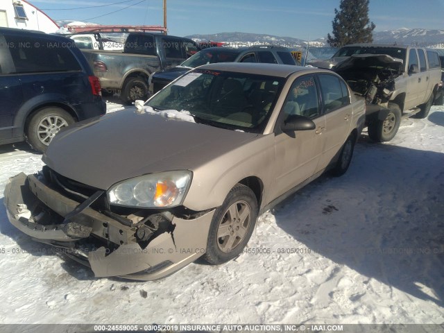 1G1ZT52865F116265 - 2005 CHEVROLET MALIBU LS TAN photo 2