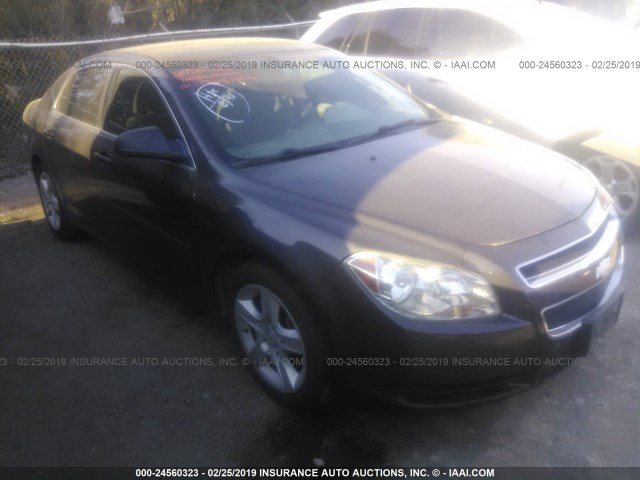 1G1ZB5E02CF308403 - 2012 CHEVROLET MALIBU LS GRAY photo 1