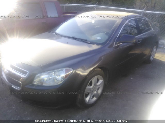 1G1ZB5E02CF308403 - 2012 CHEVROLET MALIBU LS GRAY photo 2