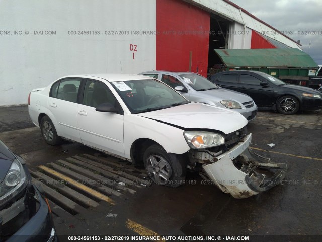 1G1ZT528X5F292977 - 2005 CHEVROLET MALIBU LS WHITE photo 1