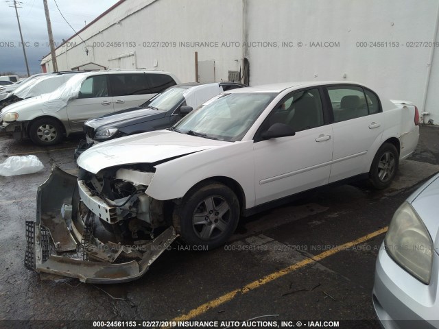 1G1ZT528X5F292977 - 2005 CHEVROLET MALIBU LS WHITE photo 2