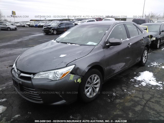 4T1BF1FK4GU507942 - 2016 TOYOTA CAMRY LE/XLE/SE/XSE ნაცრისფერი ფოტო 2