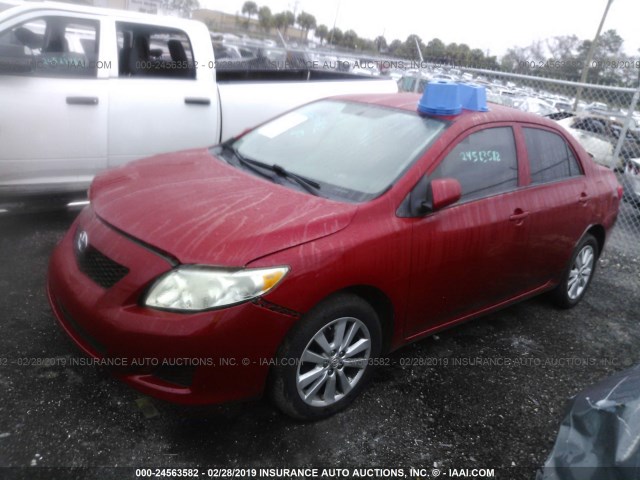 1NXBU4EE7AZ239916 - 2010 TOYOTA COROLLA S/LE/XLE RED photo 2