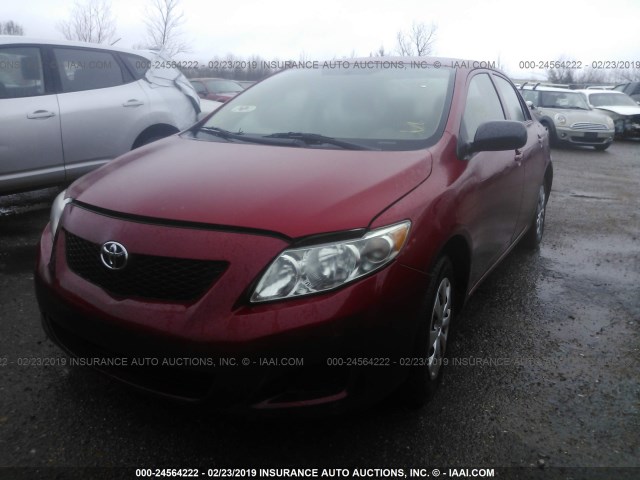 1NXBU4EE2AZ223364 - 2010 TOYOTA COROLLA S/LE/XLE RED photo 2