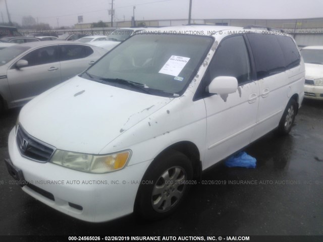 5FNRL18023B001049 - 2003 HONDA ODYSSEY EXL WHITE photo 2