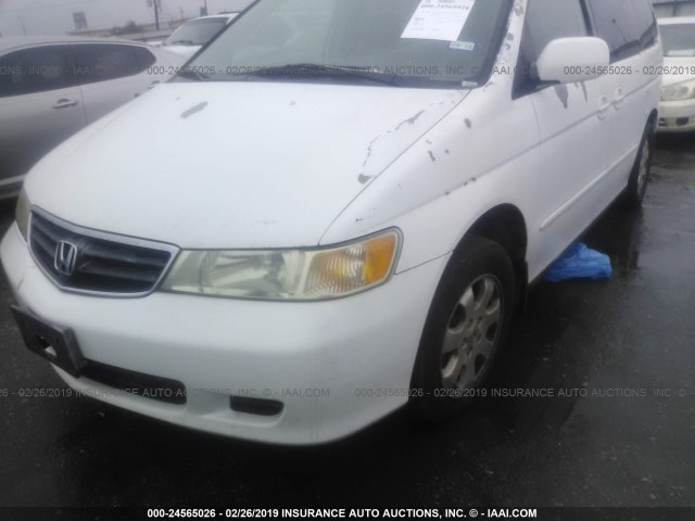 5FNRL18023B001049 - 2003 HONDA ODYSSEY EXL WHITE photo 6