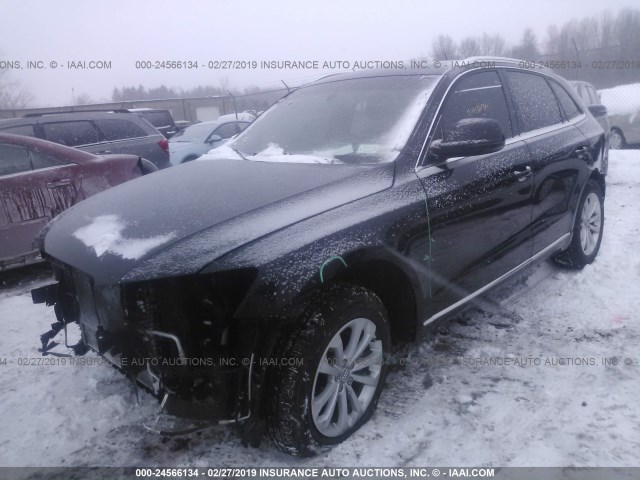 WA1LFAFP6DA061398 - 2013 AUDI Q5 PREMIUM PLUS BLACK photo 2