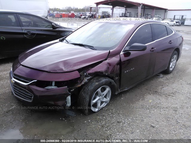 1G1ZB5ST6GF293506 - 2016 CHEVROLET MALIBU LS BURGUNDY photo 2