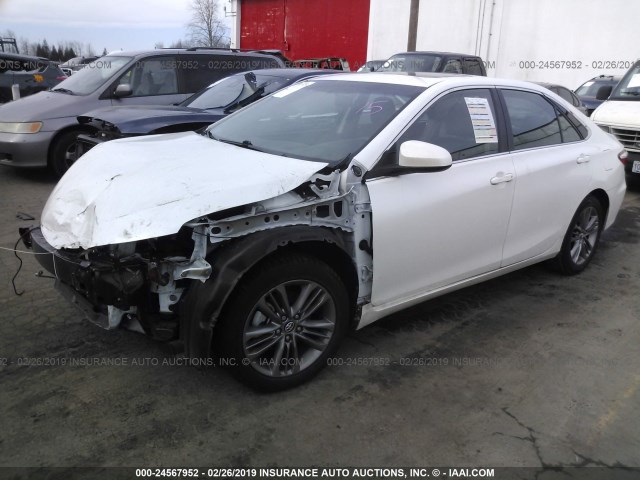 4T1BF1FK2GU222463 - 2016 TOYOTA CAMRY LE/XLE/SE/XSE 白色 照片 2